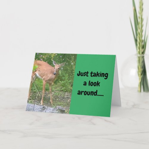 DEER SAYS WAITING TO SAY HAPPY BIRTHDAY TO YOU CARD