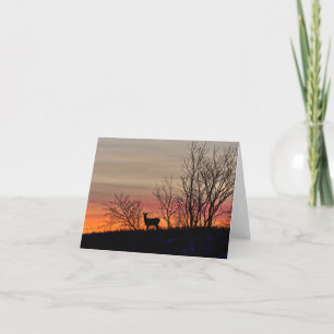 Deer silhouette at sunset blank notecard.  thank you card