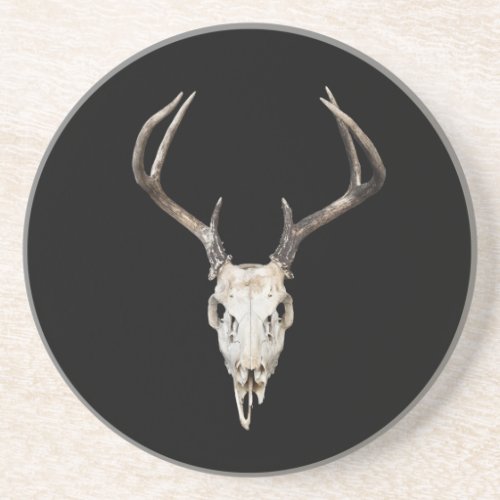 Deer Skull _ Buck Antlers _ Outfitter _ Taxidermy Coaster