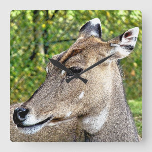 DEER SQUARE WALL CLOCK