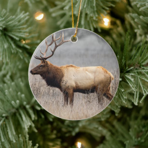 Deer Stag Animals Wildlife Nature Buck Ceramic Ornament