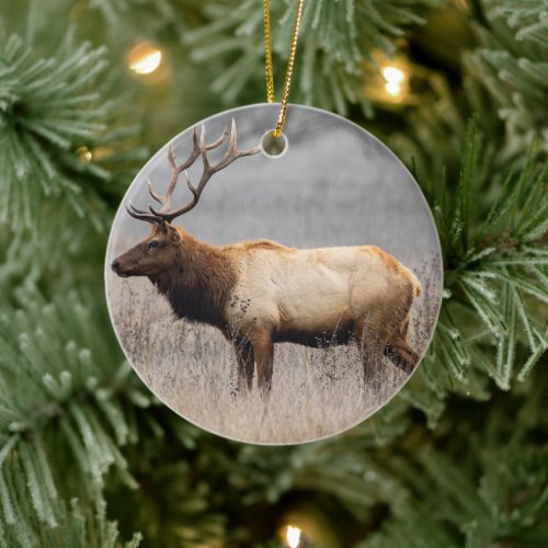 Deer Stag Animals Wildlife Nature Buck Ceramic Ornament