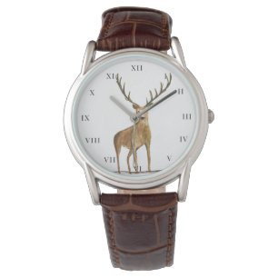 Deer Stag Antlers Animal Hunter Nature Watch