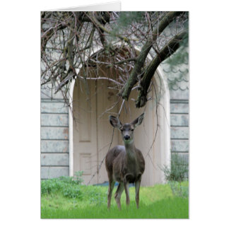 Deer standing in front of the Wehner Mansion Cards