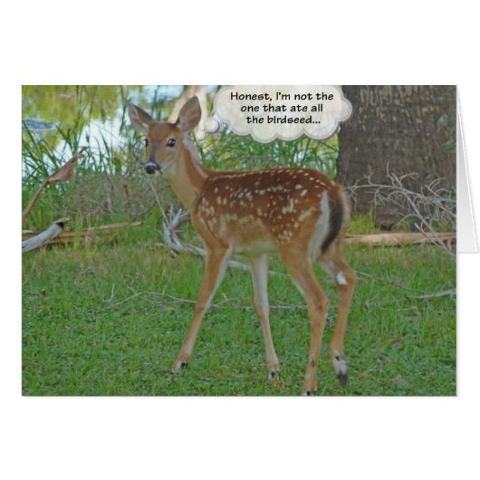 Deer thinking about birdseed cards (Front Horizontal)