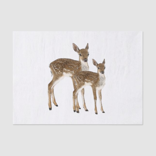 Deer Tissue Paper (Front)