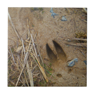 deer track ceramic tile