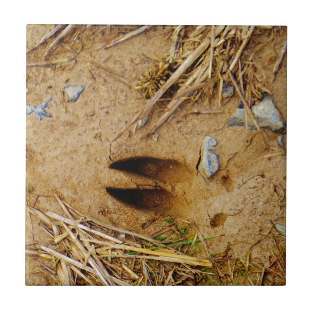 Deer Track Ceramic Tile (Front)
