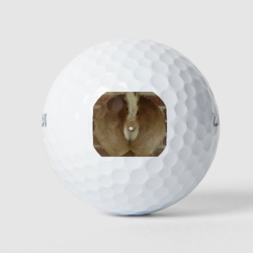 Deer trophy Golf Balls