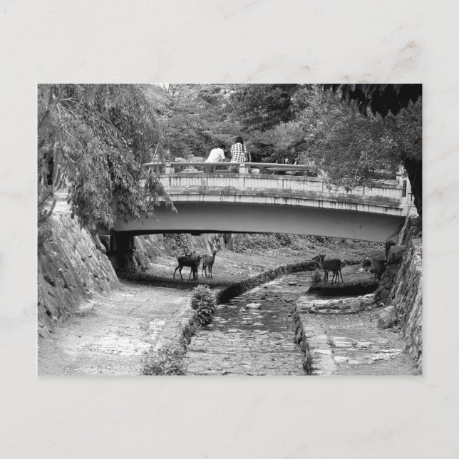 Deer under a Japanese Bridge Postcard (Front)