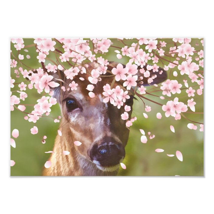 Deer Under Cherry Tree Photo Print