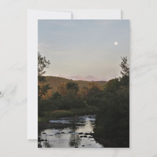 Deer Under the Moon (Front)