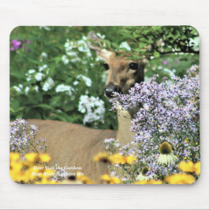 Deer Visit the Gardens close up Mouse Pad