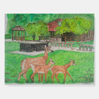 Deer Walking in Humiston Woods - Foam Board