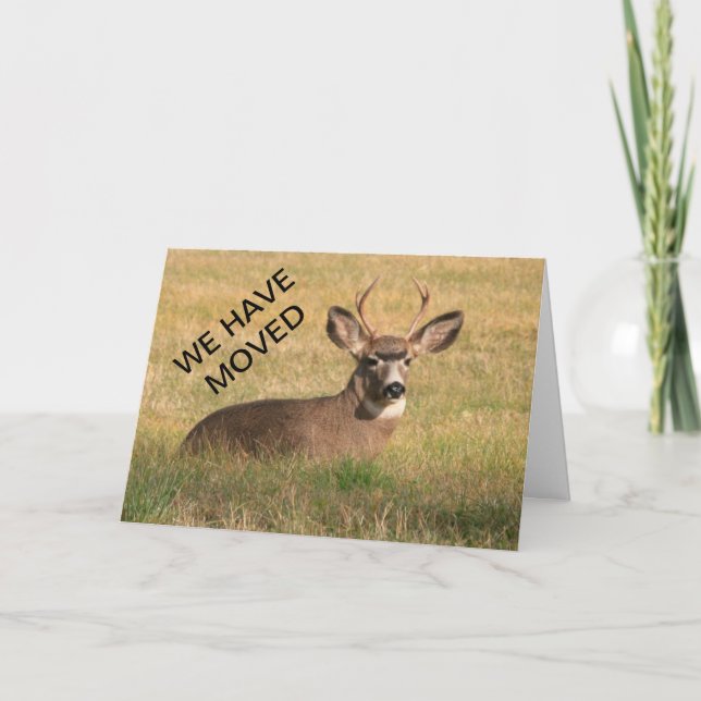 Deer We Have Moved Card (Front)