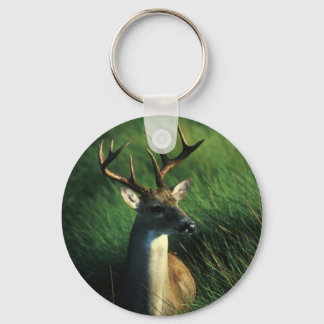 Deer / White Tailed Buck Keychain