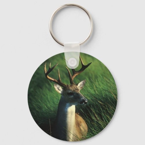 Deer  White Tailed Buck Keychain