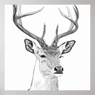 Deer Wild Nature Animal Illustration Art Drawing Poster
