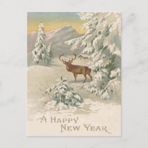 Deer Winter Snow Cabin Mountain Evergreen Postcard