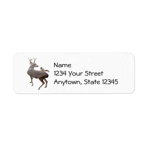 Deer Witch Squirrel Return Address Labels