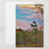 Deer with a Pink blue sky (Front/Back)