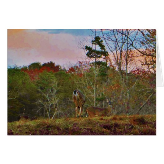 Deer with a Pink blue sky Cards (Front Horizontal)