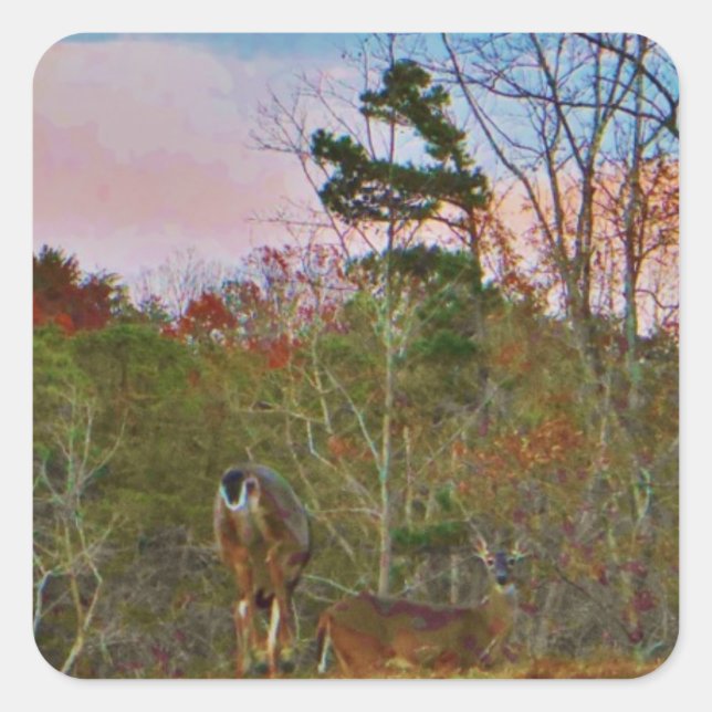 Deer with a Pink blue sky Square Sticker (Front)