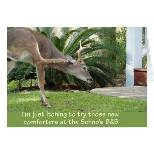 Deer with an itch cards (Front Horizontal)