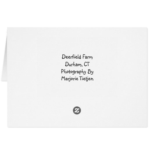 Deerfield Farm (Back Horizontal)