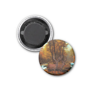 Deers By A Woodland Stream Magnet
