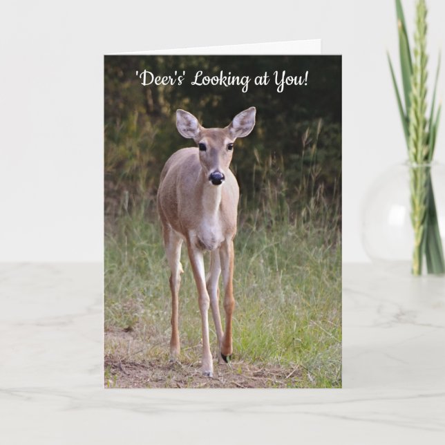 Deer's Looking at You Pun Cute Birthday Card (Front)