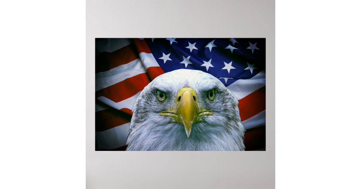 DEFENSE EAGLE POSTER | Zazzle