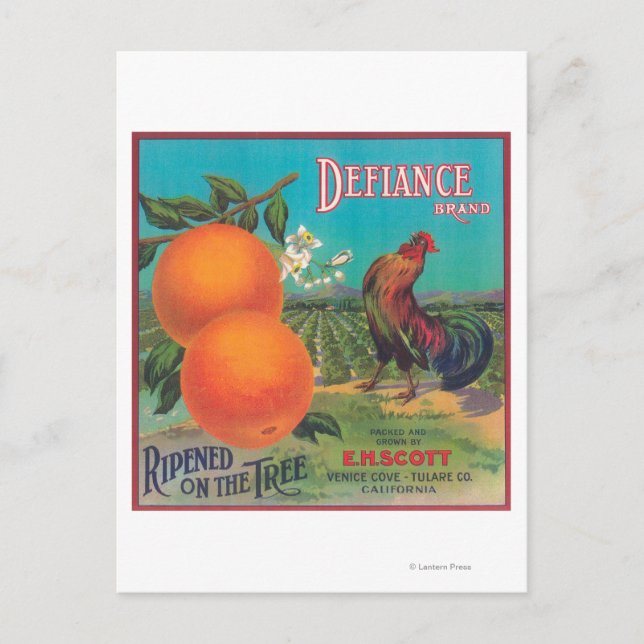 Defiance Orange LabelVenice Cove, CA Postcard (Front)