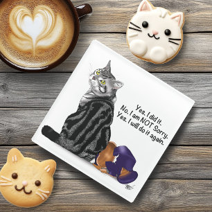 Defiant No Remorse Tabby Cat Funny Glass Coaster