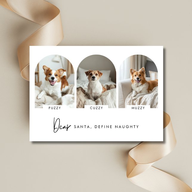 Define Naughty Christmas Arch Dog Photo With Name Holiday Card (Creator Uploaded)