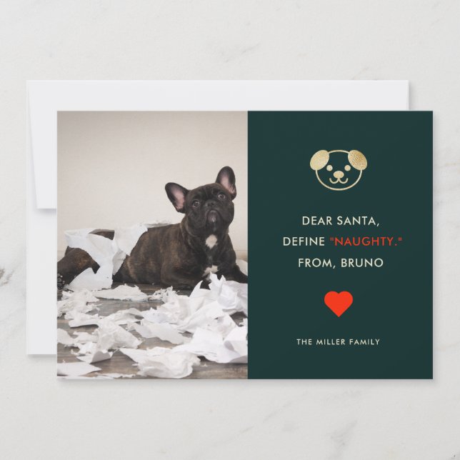 Define Naughty | Funny Dog Photo Holiday Card (Front)