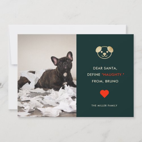 Define Naughty  Funny Dog Photo Holiday Card