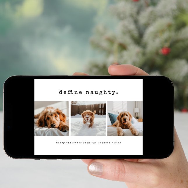Define Naughty Funny Pet Dog Photo Christmas Holiday Card (Front Digital)
