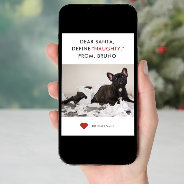 Define Naughty Funny Pet Photo Holiday Card (Front Digital)