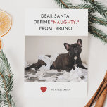 Define Naughty Funny Pet Photo Holiday Card<br><div class="desc">Holiday photo card for pet lovers! The text says "Dear Santa, Define "NAUGHTY" From XX (your pet's name)." Replace the picture with your favorite naughty puppy or kitty moment picture. Guaranteed to be a cute and heartwarming card that will make your family and friends laugh and say "Awww." Simple white,...</div>