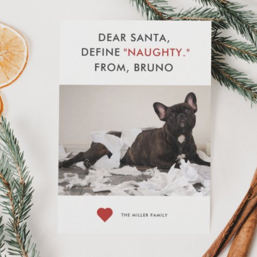 Define Naughty Funny Pet Photo Holiday Card
