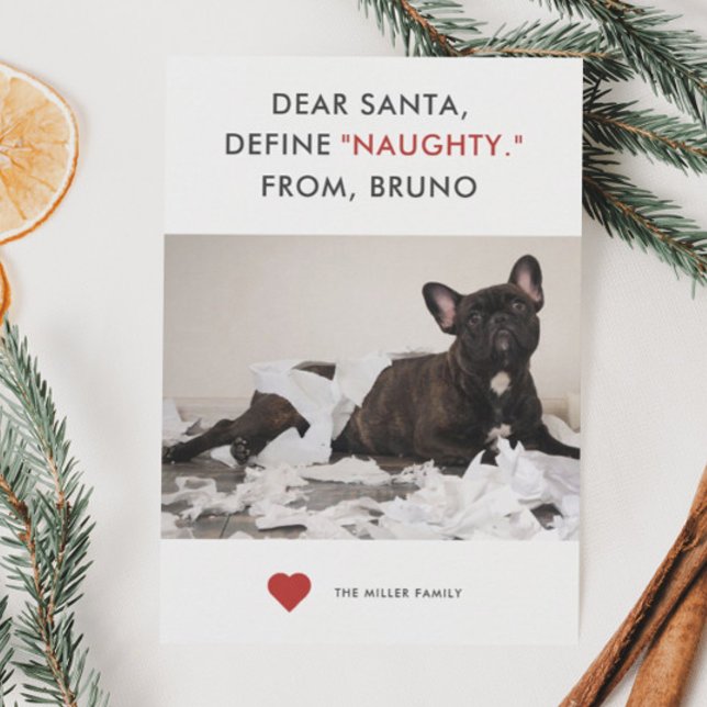 Define Naughty Funny Pet Photo Holiday Card (Creator Uploaded)