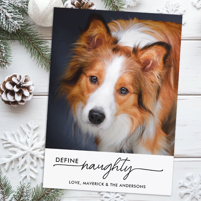 Define Naughty Personalized Funny Pet Dog Photo Holiday Card (Creator Uploaded)