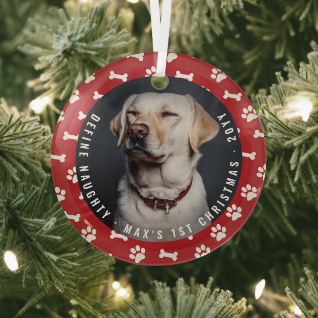 Define Naughty Photo Funny Pet's First Christmas Glass Ornament (Insitu)