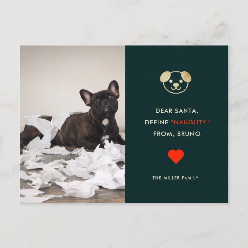 Define Naughty  Your Funny Dog Photo Holiday Card