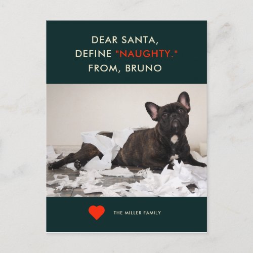 Define Naughty  Your Pet Photo Funny Holiday Card