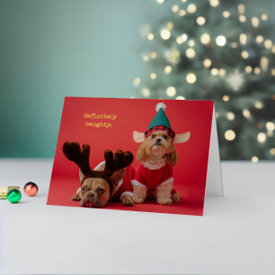 Definitely Naughty Pet Photo Cute Christmas Foil Holiday Card