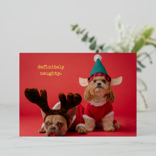 Definitely Naughty Pet Photo Cute Christmas Foil Holiday Card