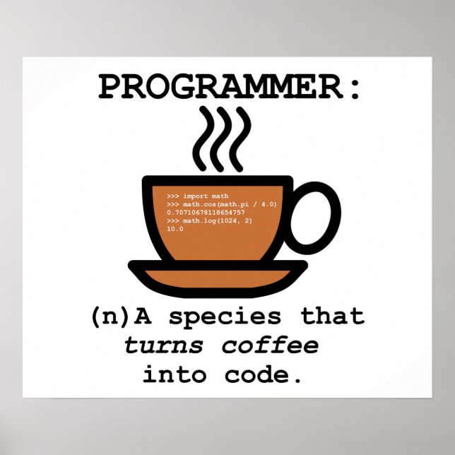 Definition of a Computer Programmer - Geek Poster (Front)