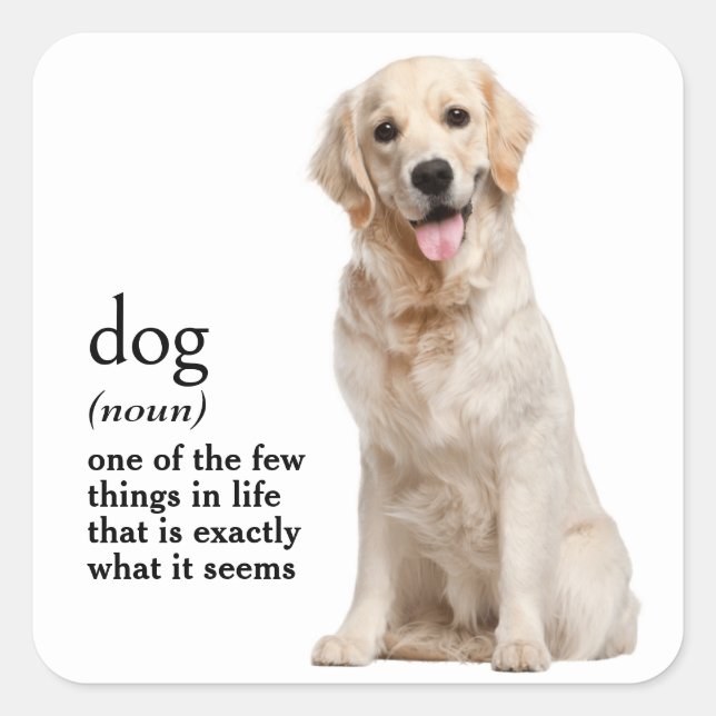 Definition Of a DOG  Square Sticker (Front)